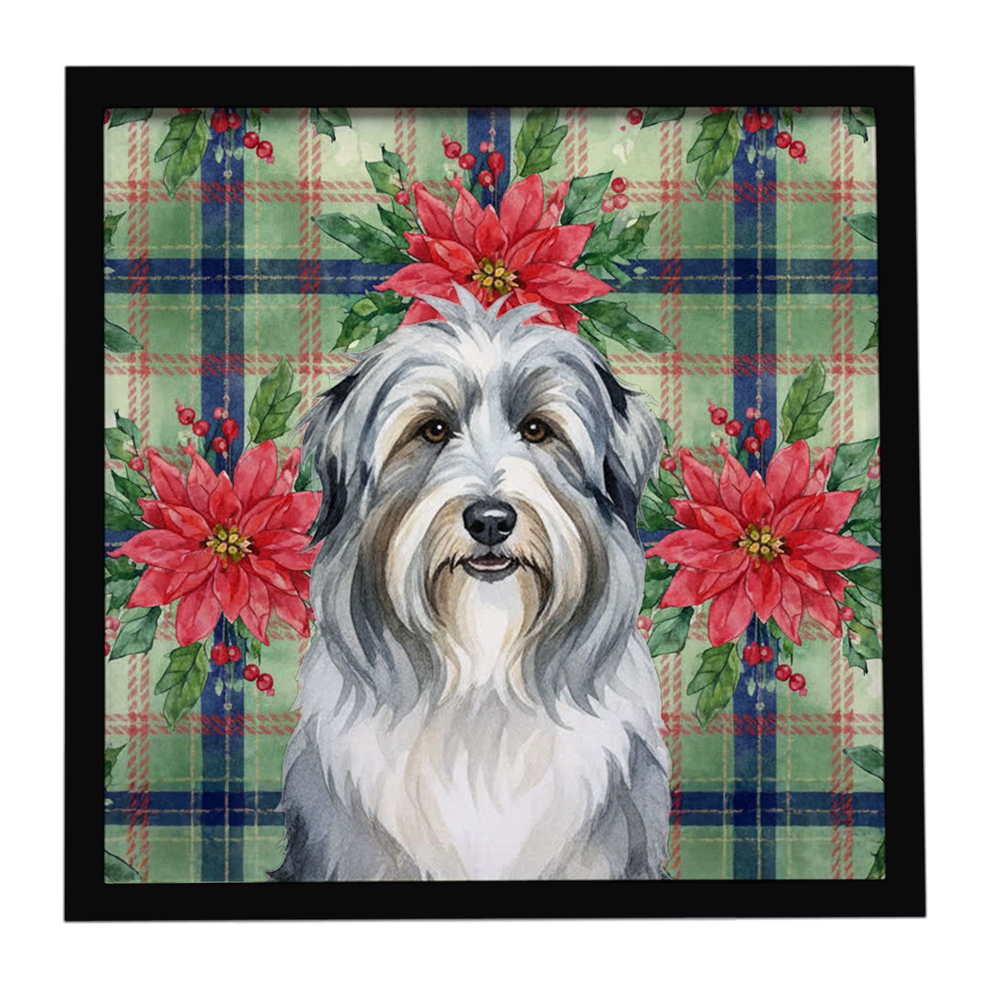 Bearded Collie Christmas PoinsettIas Framed Metal Print Bathroom, Kitchen, Office, Home Decor Wall Art Ready to Hang, Square, 8X