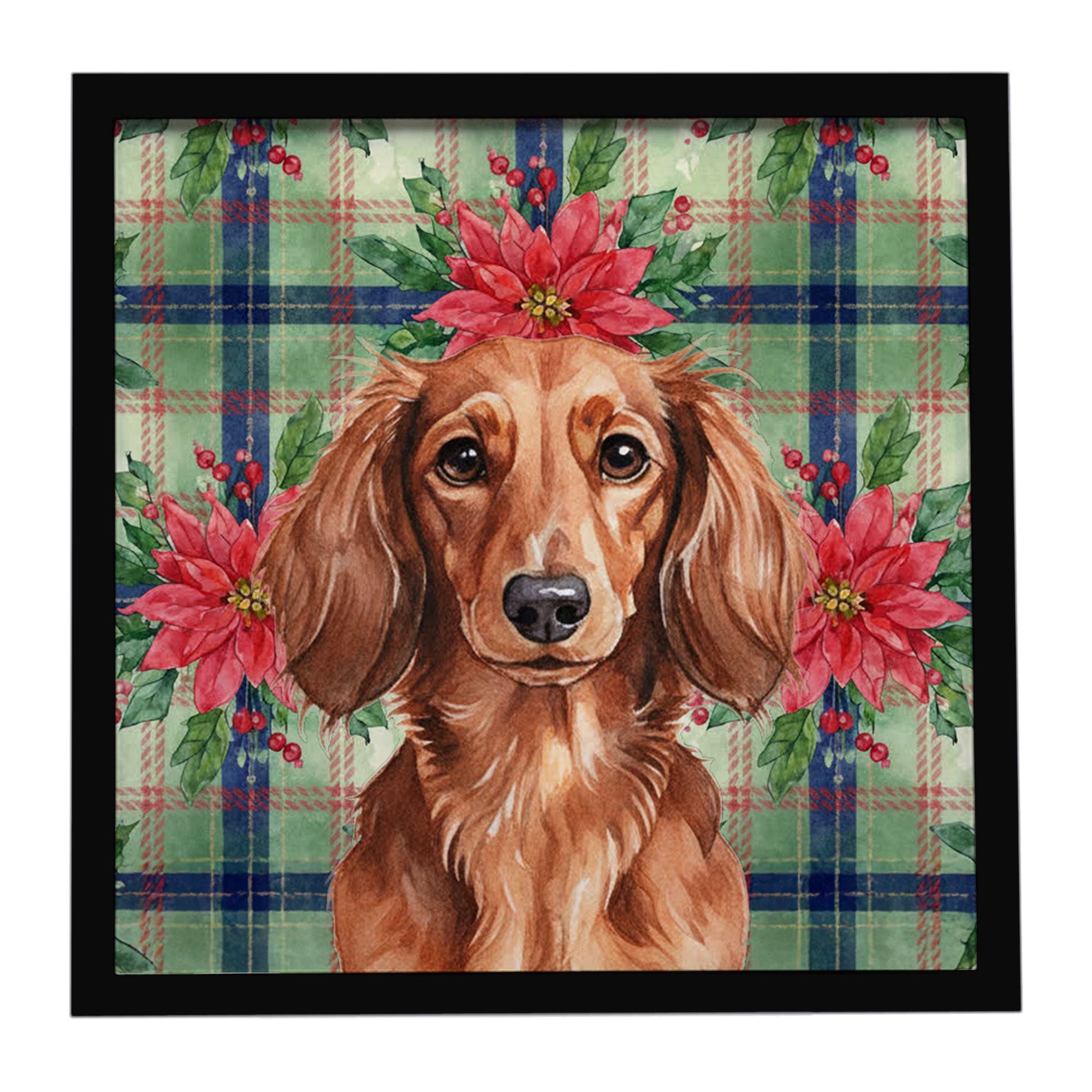 Longhaired Red Dachshund Christmas PoinsettIas Framed Metal Print Bathroom, Kitchen, Office, Home Decor Wall Art Ready to Hang, 