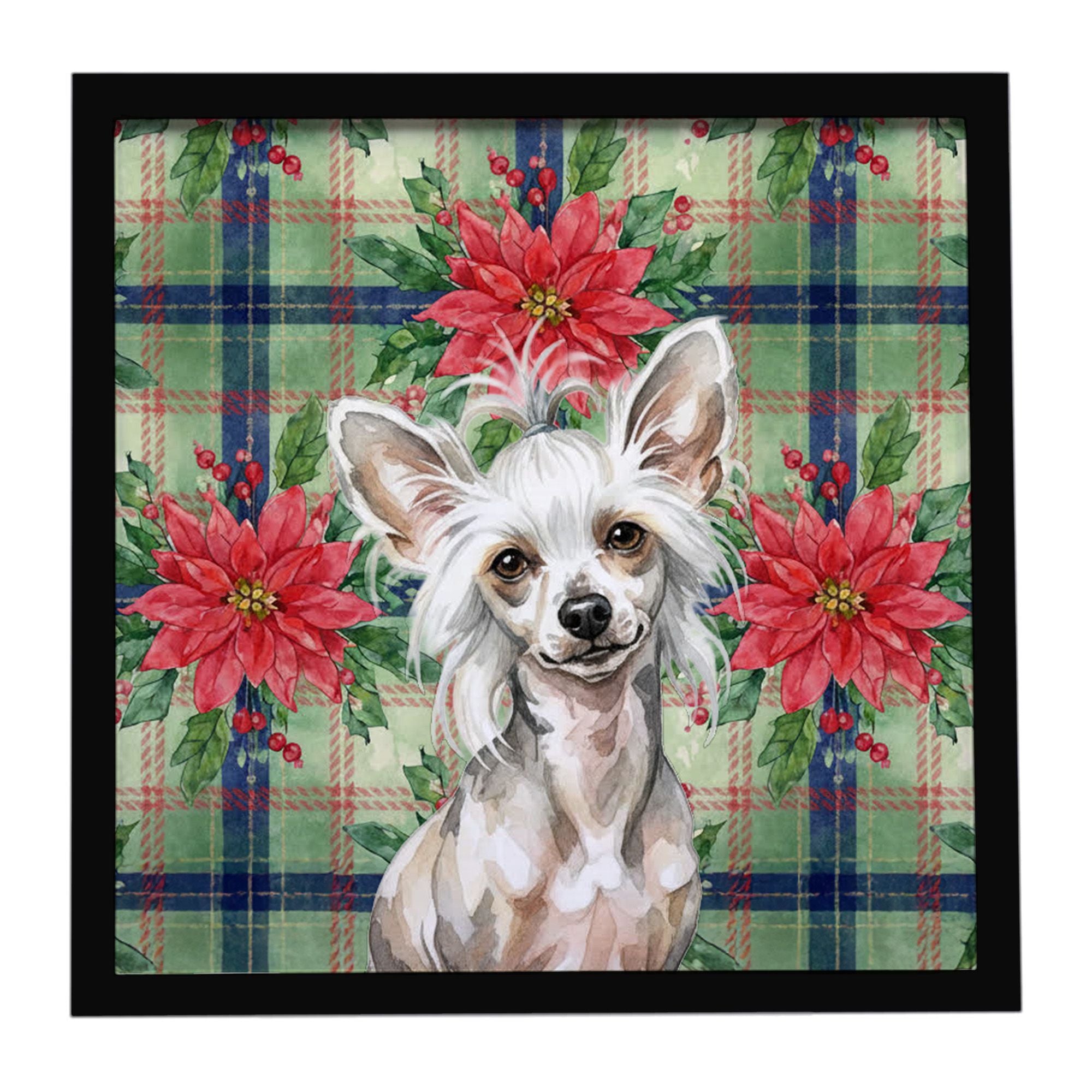 Hairless Mottled Pattern Chinese Crested Christmas PoinsettIas Framed Metal Print Bathroom, Kitchen, Office, Home Decor Wall Art