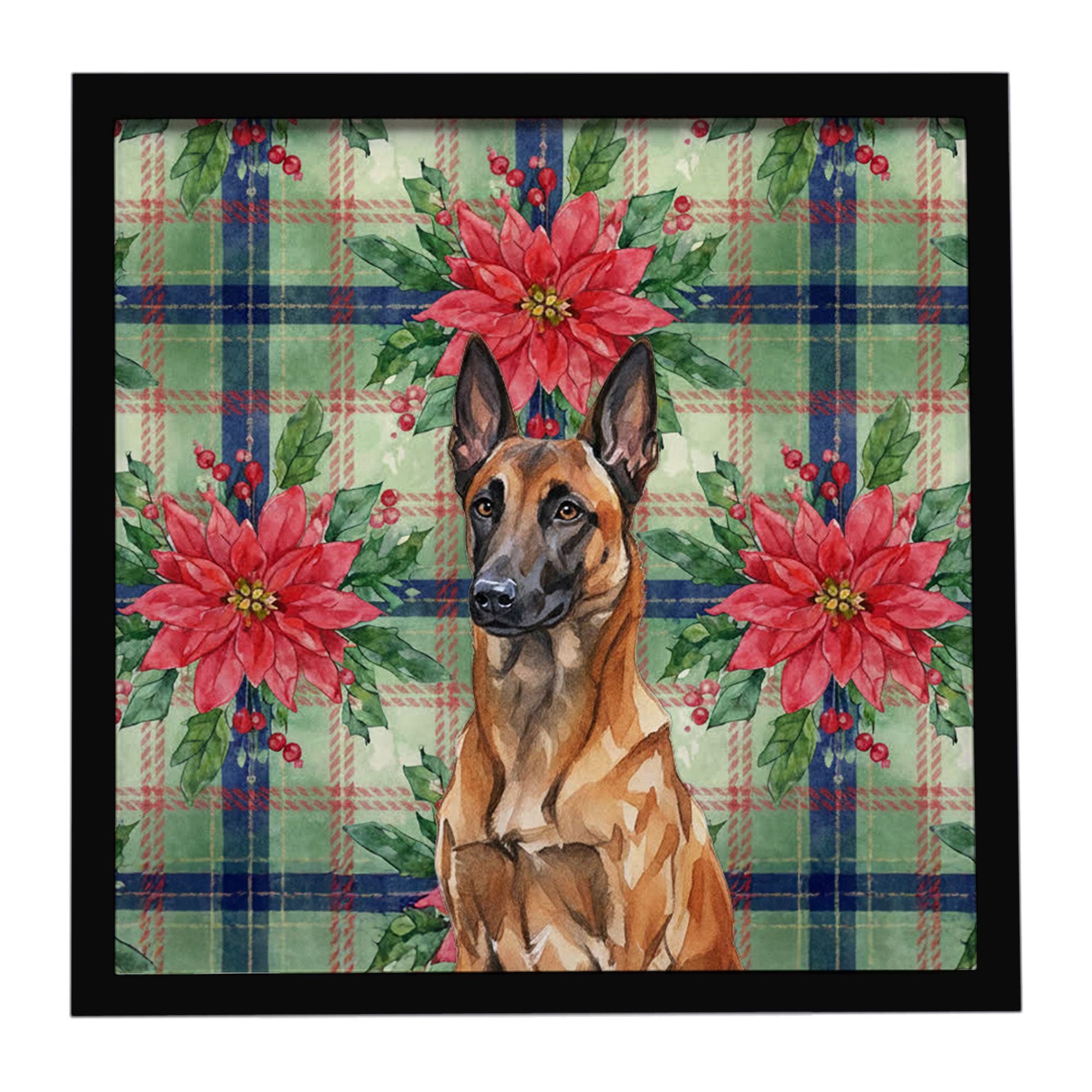 Mahogany Belgian Malinois Christmas PoinsettIas Framed Metal Print Bathroom, Kitchen, Office, Home Decor Wall Art Ready to Hang,