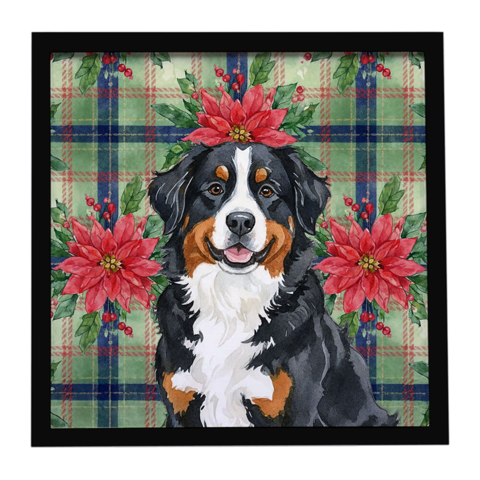 Bernese Mountain Dog Christmas PoinsettIas Framed Metal Print Bathroom, Kitchen, Office, Home Decor Wall Art Ready to Hang, Squa