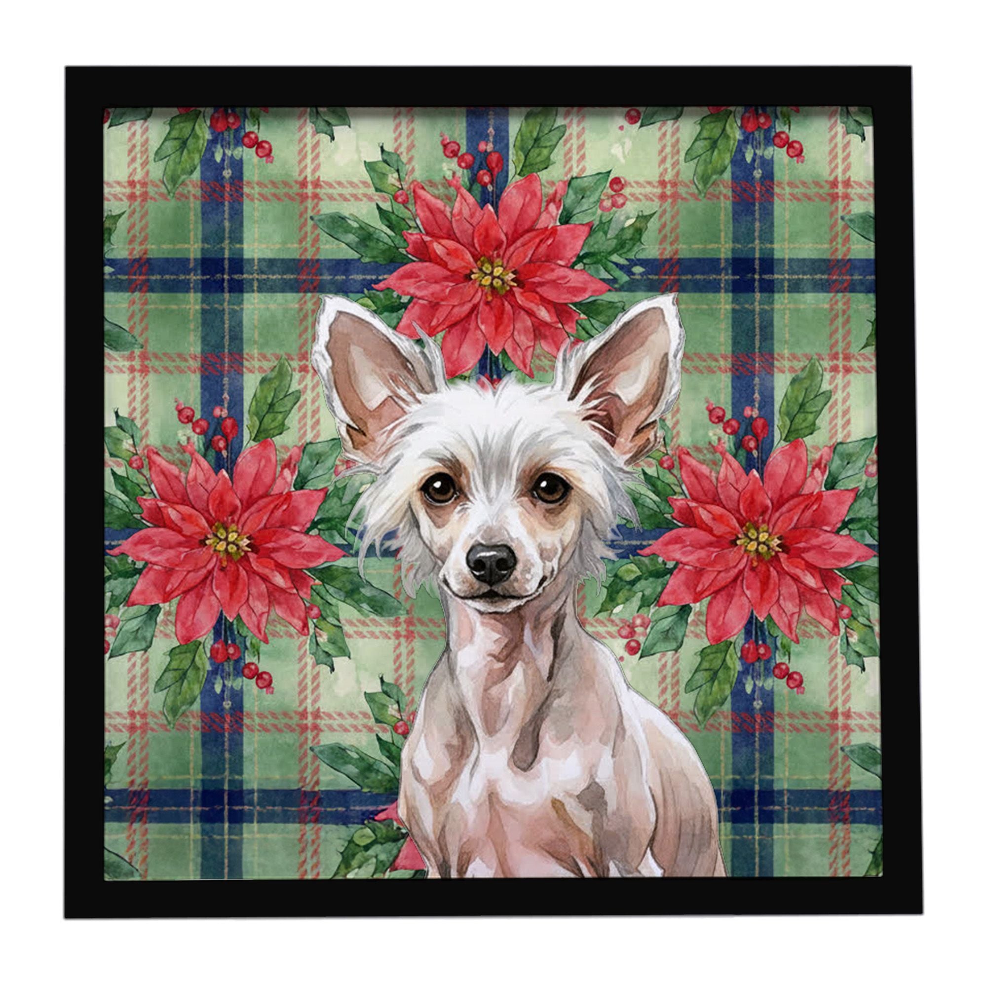 Hairless Chinese Crested Christmas PoinsettIas Framed Metal Print Bathroom, Kitchen, Office, Home Decor Wall Art Ready to Hang, 