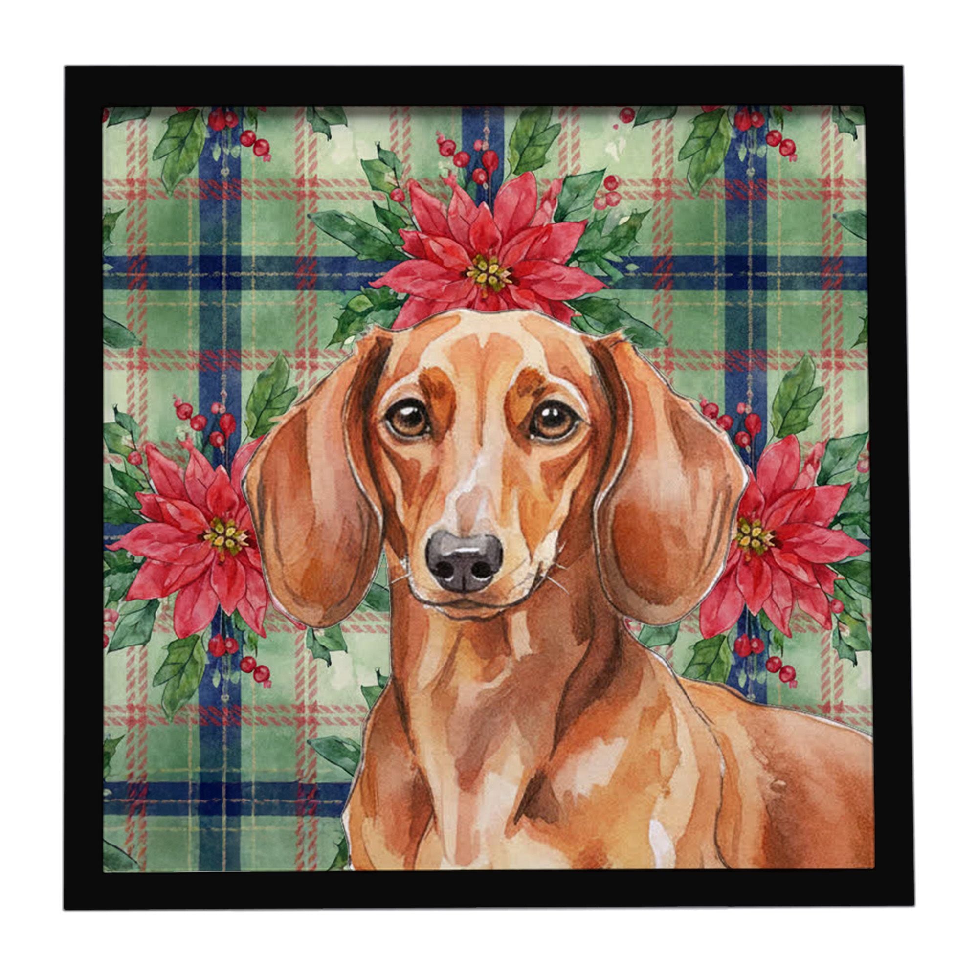 Red Brown Dachshund Christmas PoinsettIas Framed Metal Print Bathroom, Kitchen, Office, Home Decor Wall Art Ready to Hang, Squar