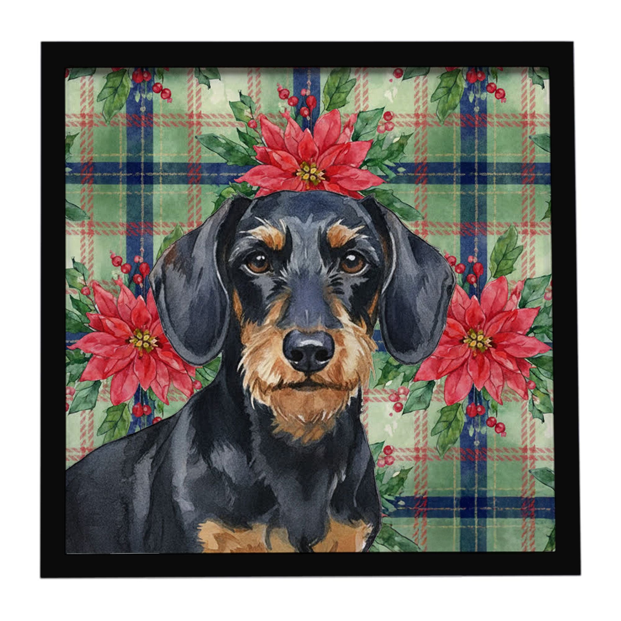 Wirehaired Black and Tan Dachshund Christmas PoinsettIas Framed Metal Print Bathroom, Kitchen, Office, Home Decor Wall Art Ready