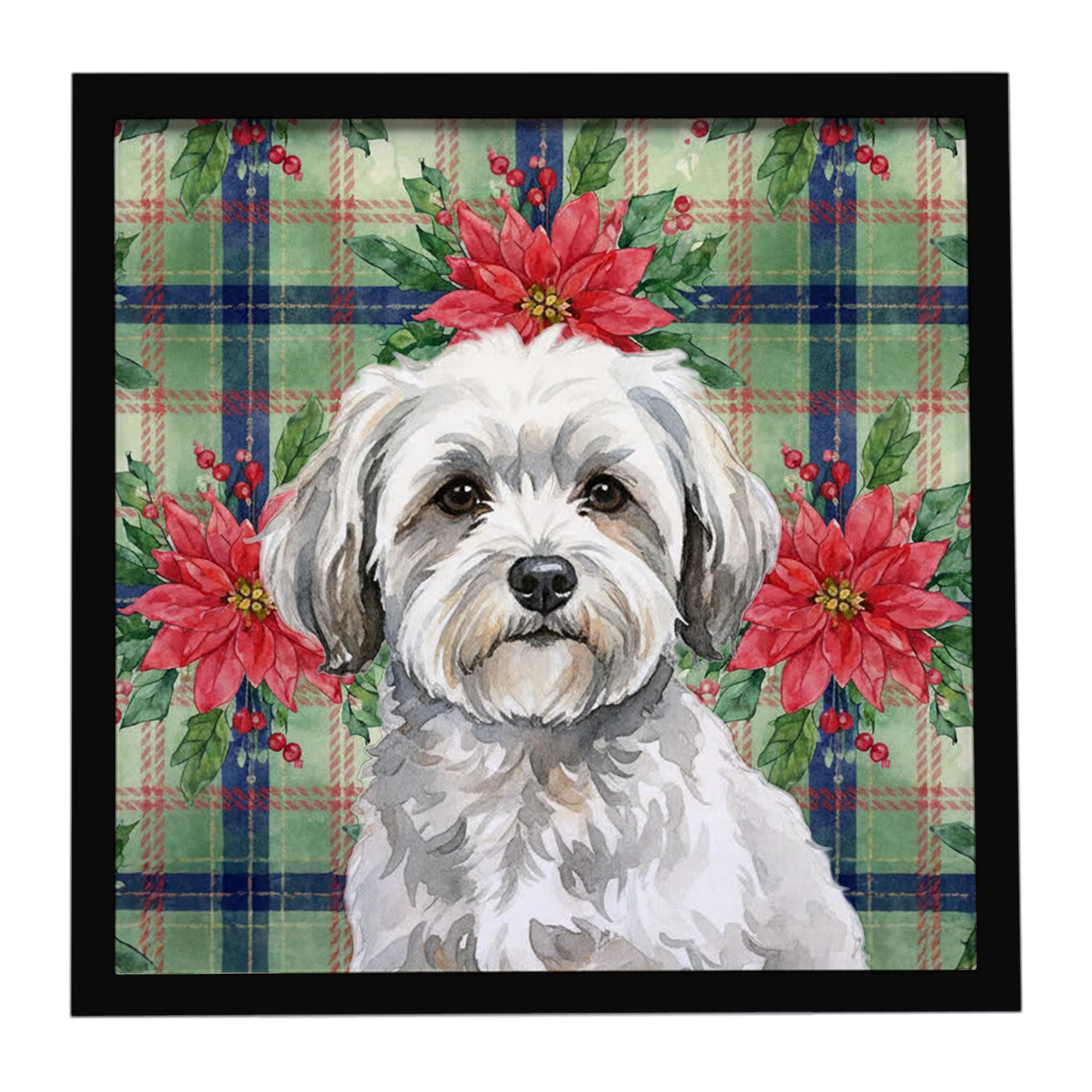 White with Gray Coton de Tulear Christmas PoinsettIas Framed Metal Print Bathroom, Kitchen, Office, Home Decor Wall Art Ready to