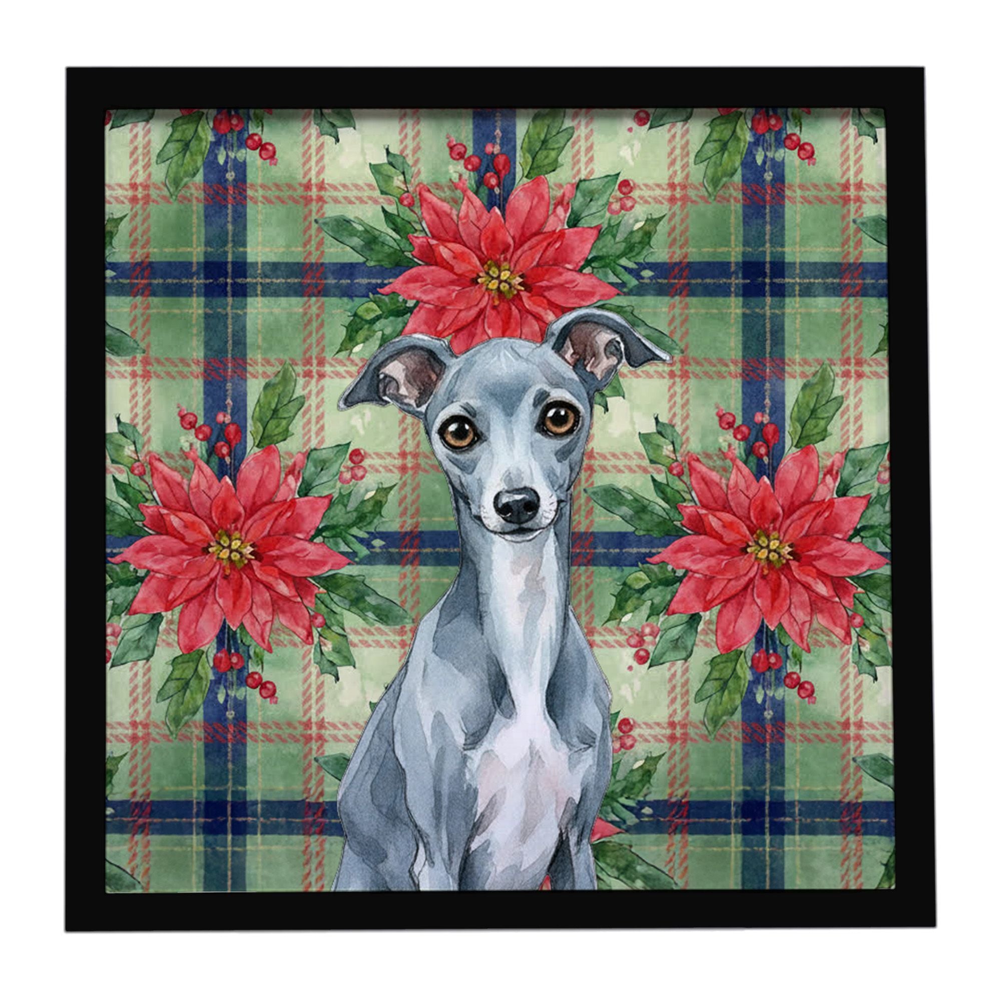 Blue Italian Greyhound Christmas PoinsettIas Framed Metal Print Bathroom, Kitchen, Office, Home Decor Wall Art Ready to Hang, Sq