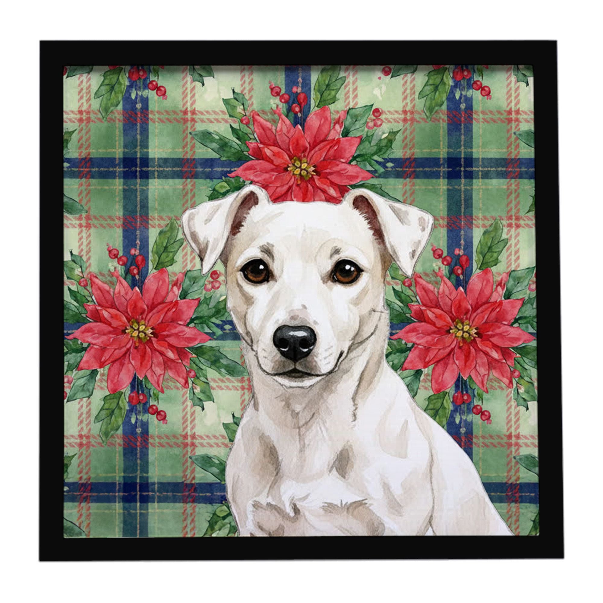 White Jack Russell Terrier Christmas PoinsettIas Framed Metal Print Bathroom, Kitchen, Office, Home Decor Wall Art Ready to Hang