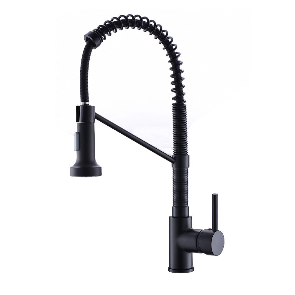 New Single Handle Pull-Out Sprayer Kitchen Faucet(D0102H5QU2P)