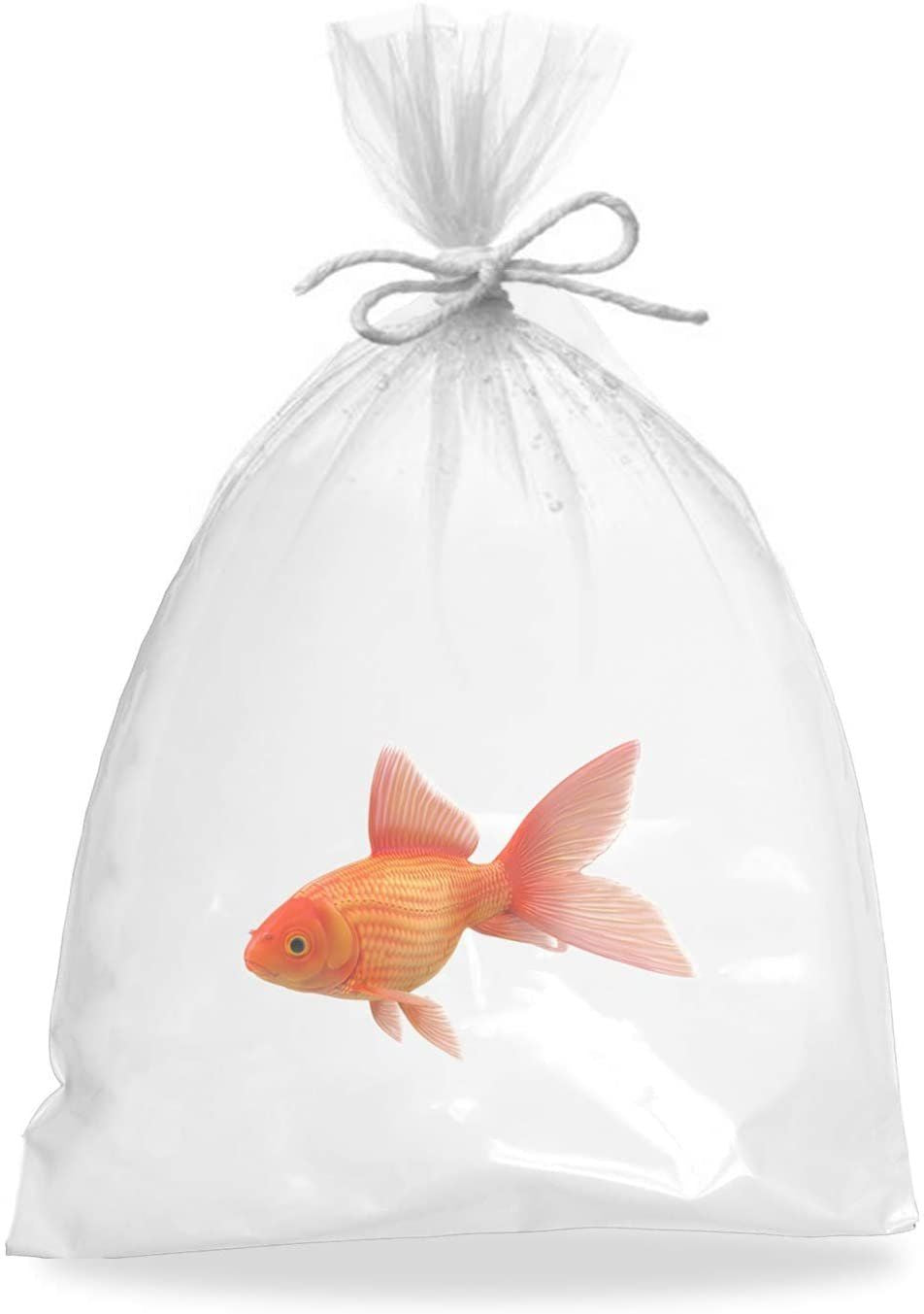 Pack of 1000 Plastic Fish Bags 12 x 18 clear Polyethylene Bags 12x18 Thickness 2 mil Open Ended Bags for Packing and Storing Pol