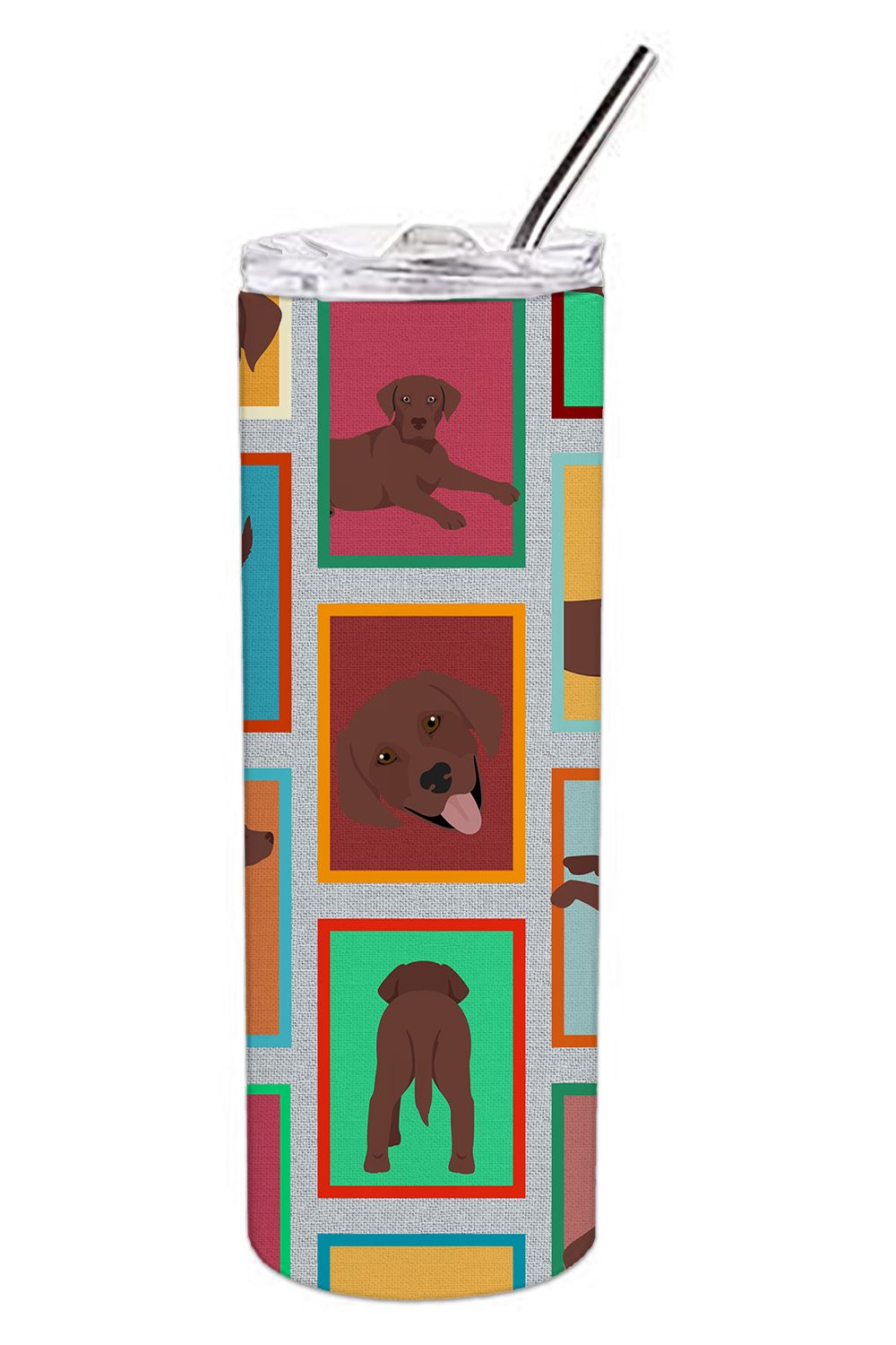 Lots of Chocolate Labrador Retriever Stainless Steel Skinny Tumbler Vacuum Double Walled Reusable Insulated Tumbler Travel Cup f