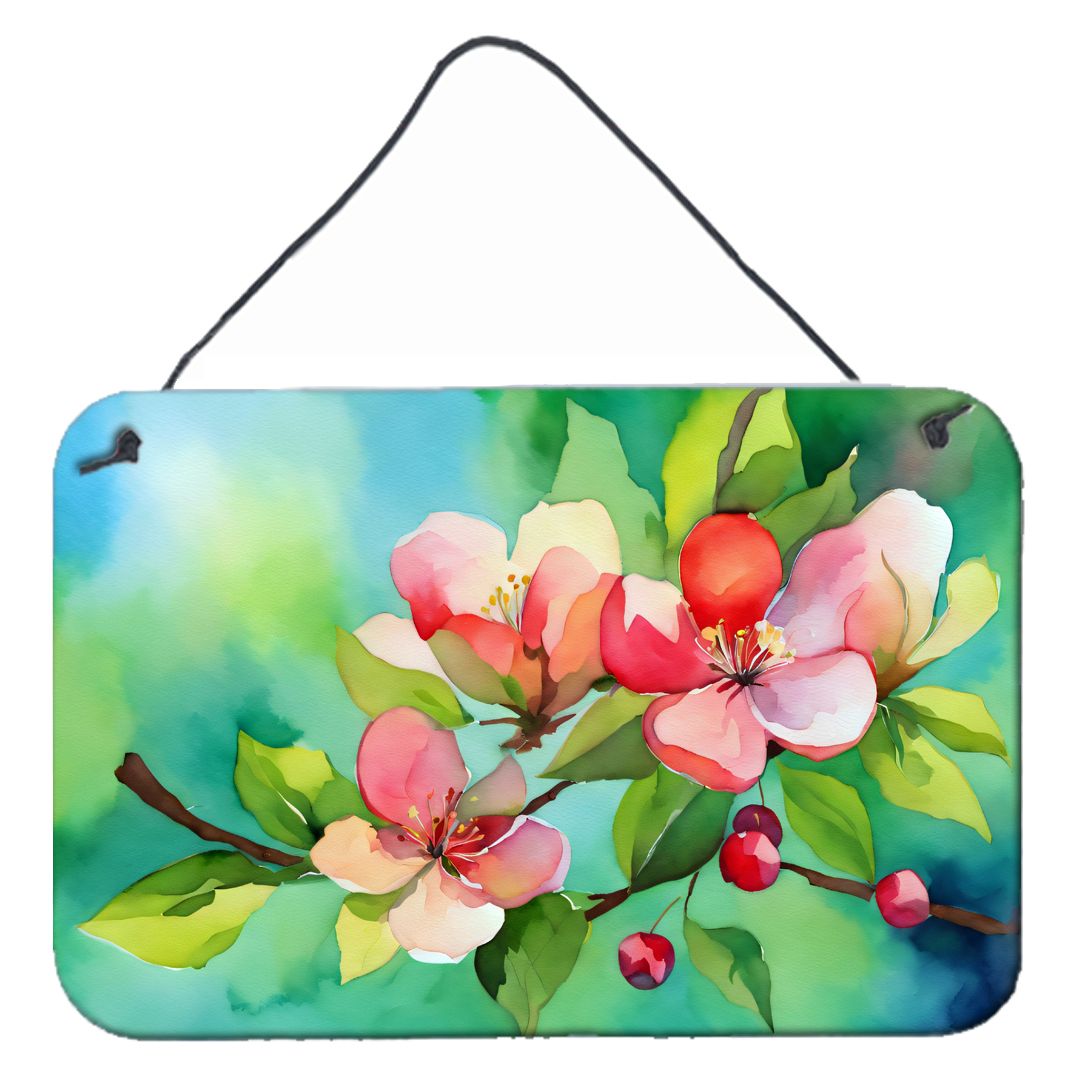 NEW Arkansas Apple Blossom in Watercolor Wall or Door Hanging Prints Aluminum Metal Sign Kitchen Wall Bar Bathroom Plaque Home D