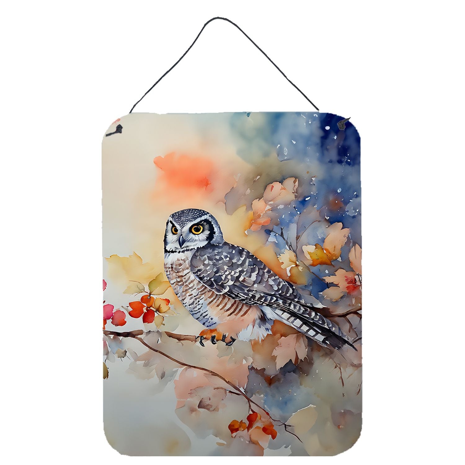 NEW Northern Hawk Owl Wall or Door Hanging Prints Aluminum Metal Sign Kitchen Wall Bar Bathroom Plaque Home Decor Front Door Pla