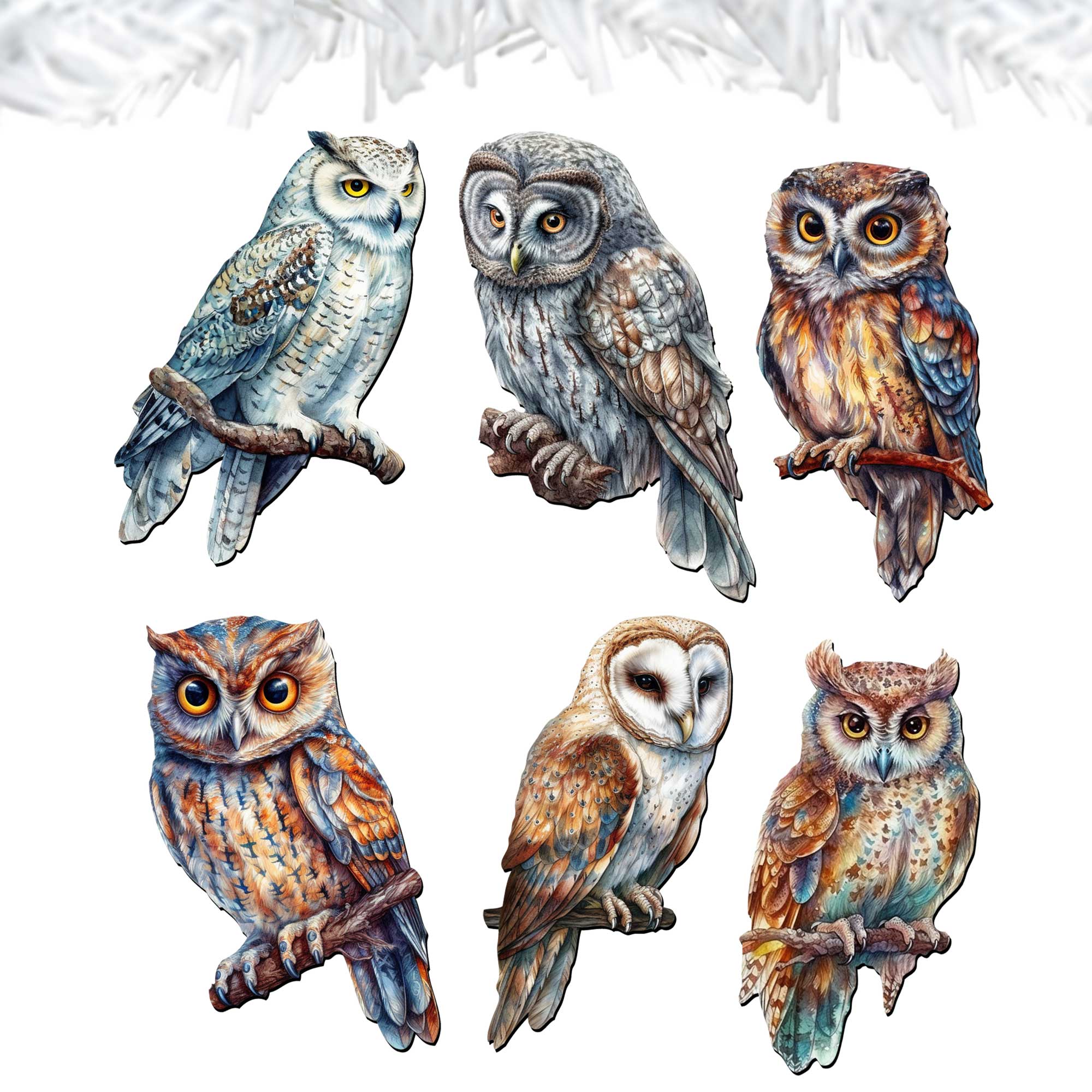 Night Owls Clip-On Eco Wood Decorative Ornaments Set of 6 by G. Debrekht - Christmas Decor - 8090004C-S6