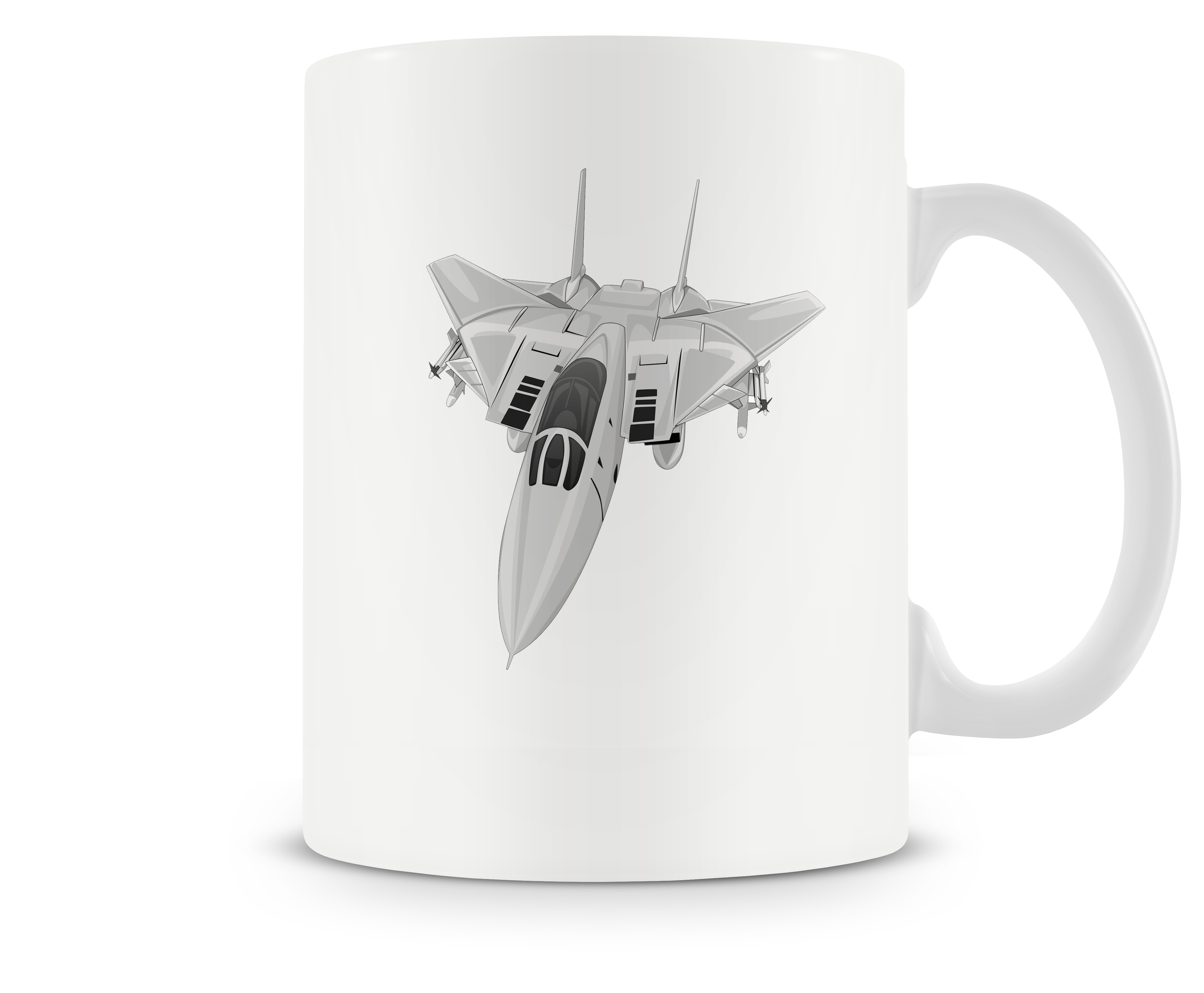 Grumman F-14 Tomcat