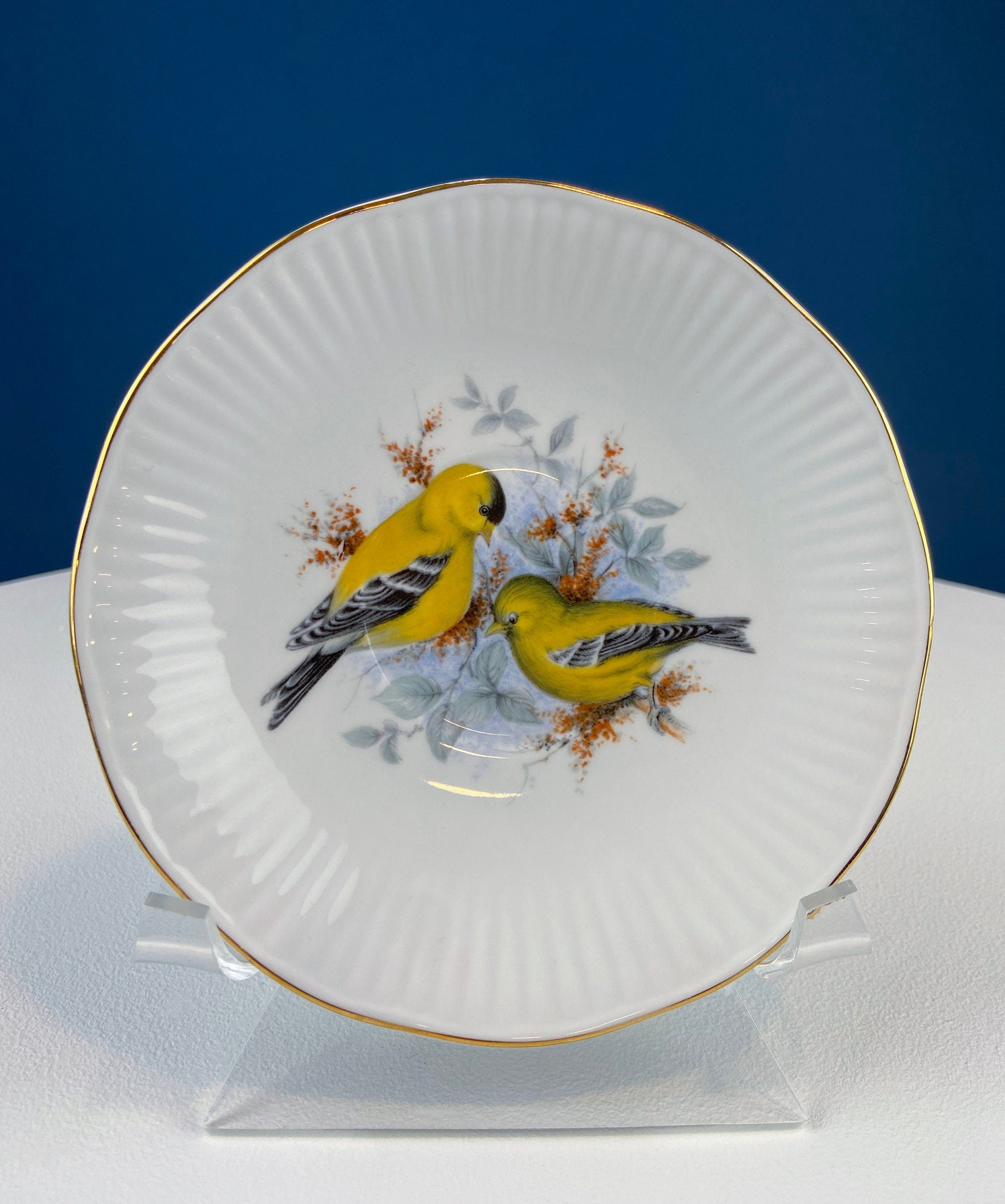 Vintage Cup and Saucer with Yellow Birds. Queens's Fine Bone China. Birds of America. Pair of Finches. Gift of Love. Modern Farmhouse.