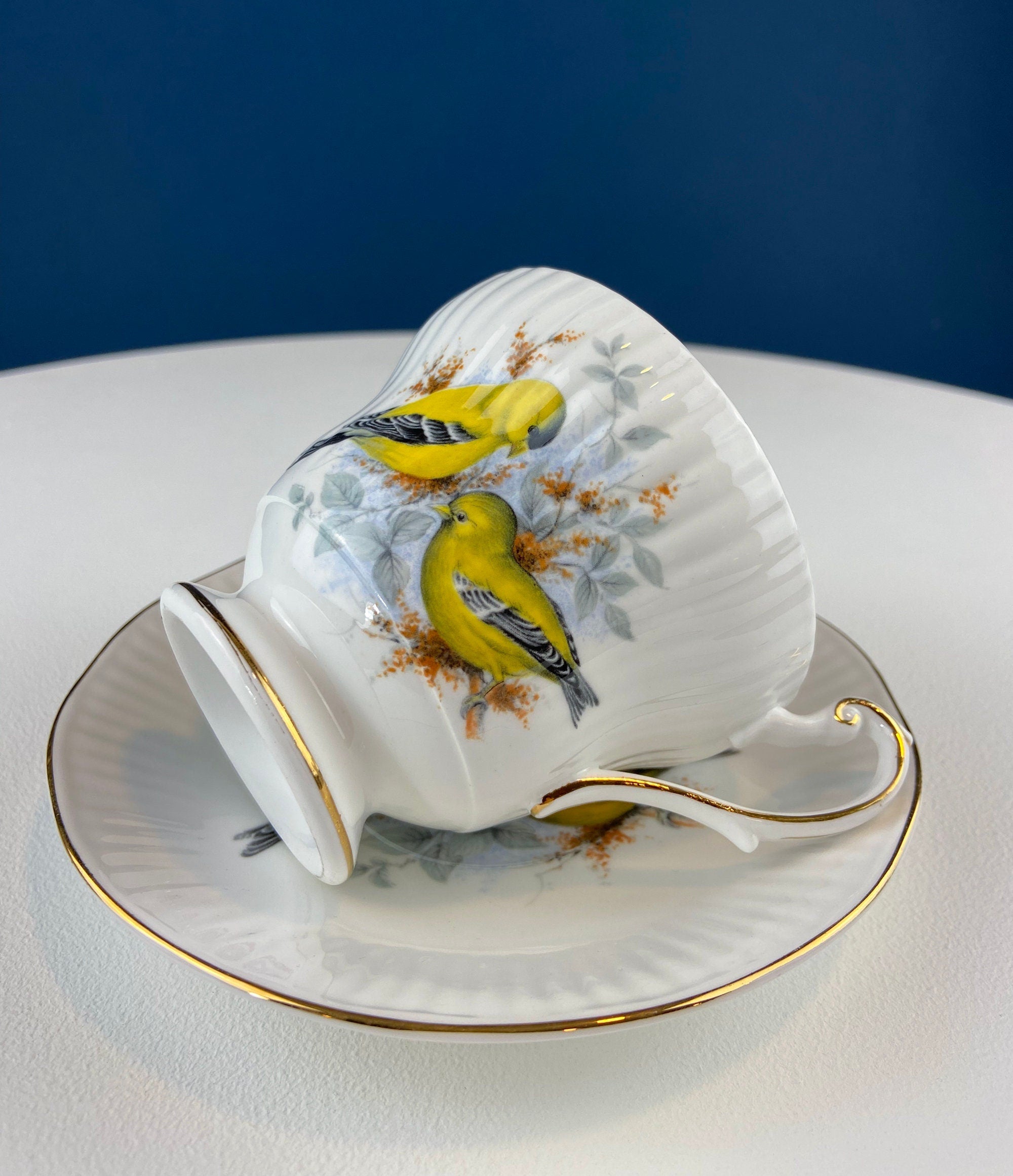 Vintage Cup and Saucer with Yellow Birds. Queens's Fine Bone China. Birds of America. Pair of Finches. Gift of Love. Modern Farmhouse.