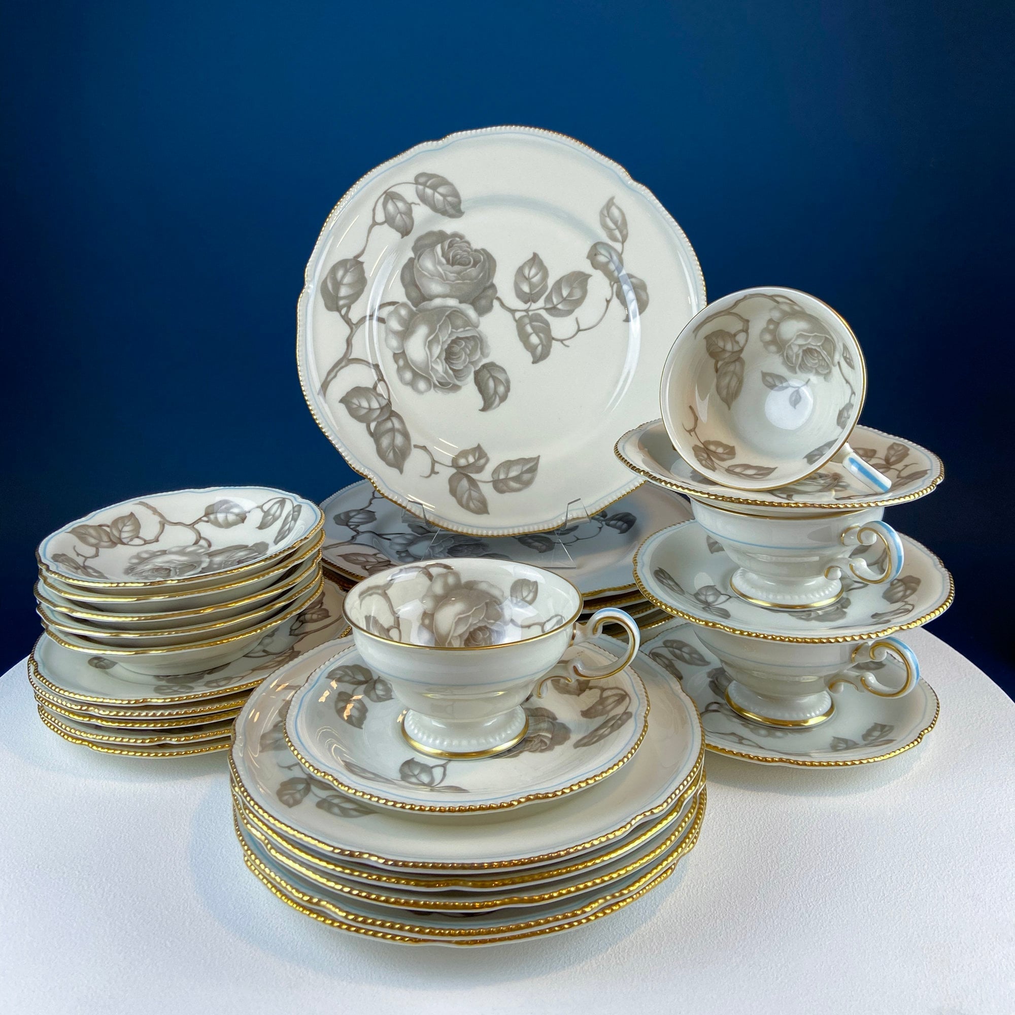 24 Piece Porcelain Dinner Set. Castleton Gloria. Beautiful Neutral Hand Painted Roses. 5 Dinner, Salad, Dessert Plates, Berry Bowls, 4 Cups.