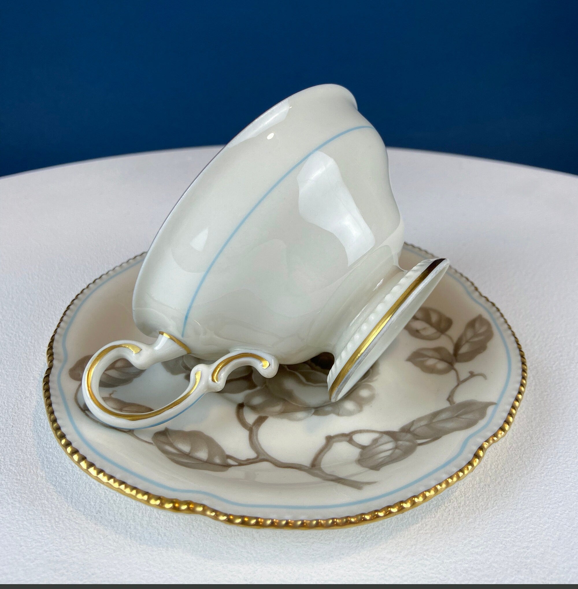 24 Piece Porcelain Dinner Set. Castleton Gloria. Beautiful Neutral Hand Painted Roses. 5 Dinner, Salad, Dessert Plates, Berry Bowls, 4 Cups.