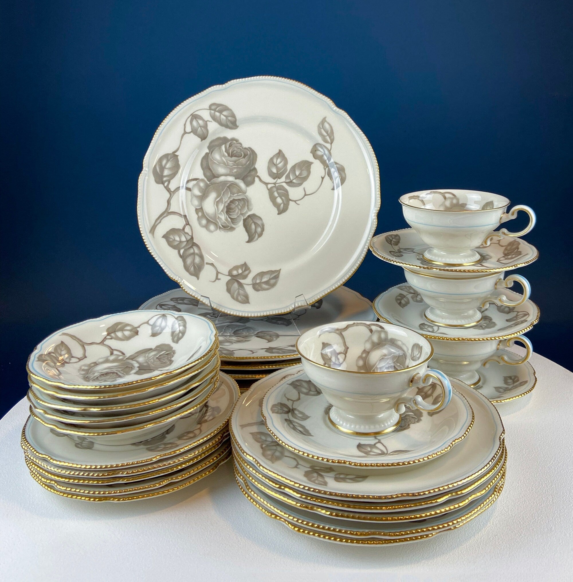 24 Piece Porcelain Dinner Set. Castleton Gloria. Beautiful Neutral Hand Painted Roses. 5 Dinner, Salad, Dessert Plates, Berry Bowls, 4 Cups.