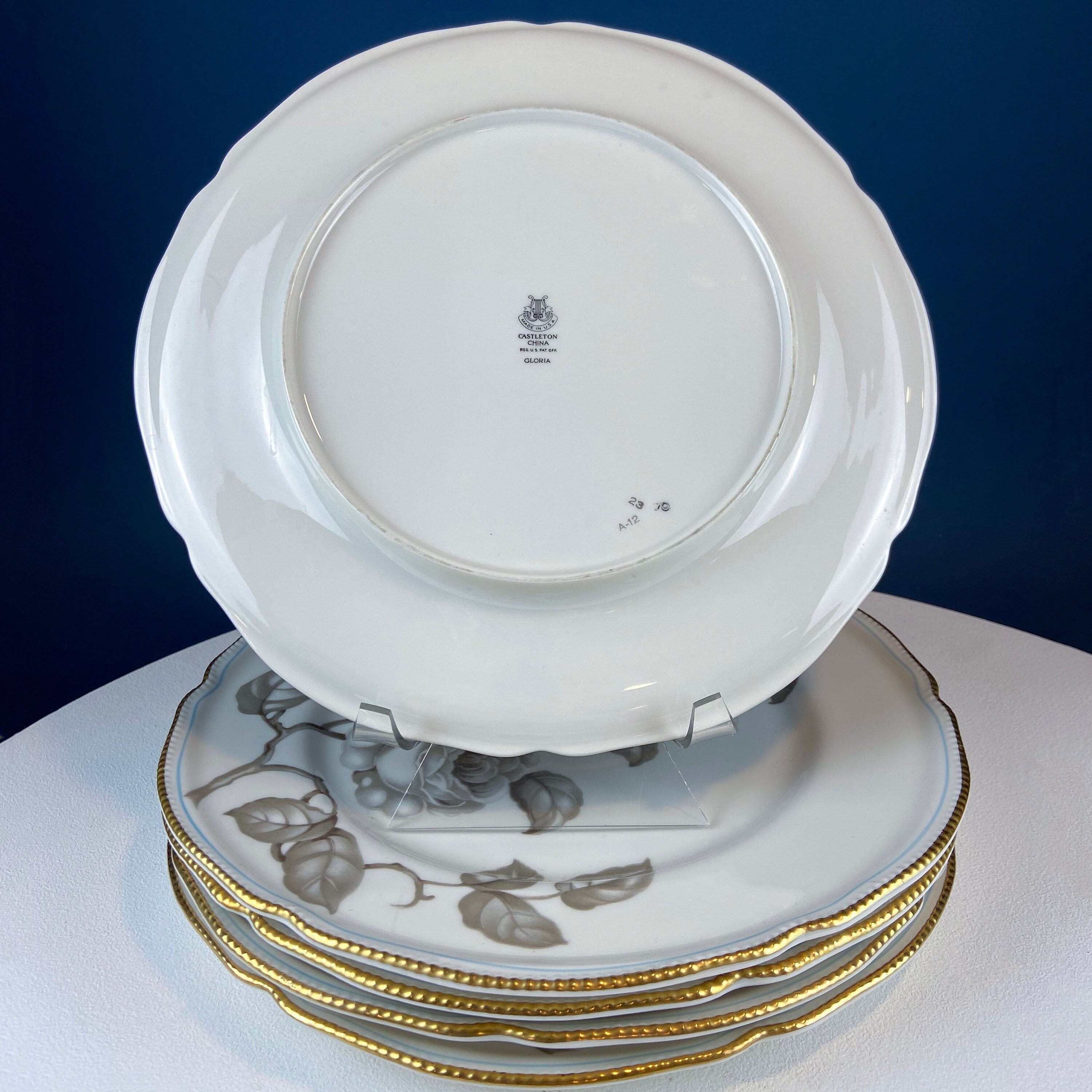 24 Piece Porcelain Dinner Set. Castleton Gloria. Beautiful Neutral Hand Painted Roses. 5 Dinner, Salad, Dessert Plates, Berry Bowls, 4 Cups.