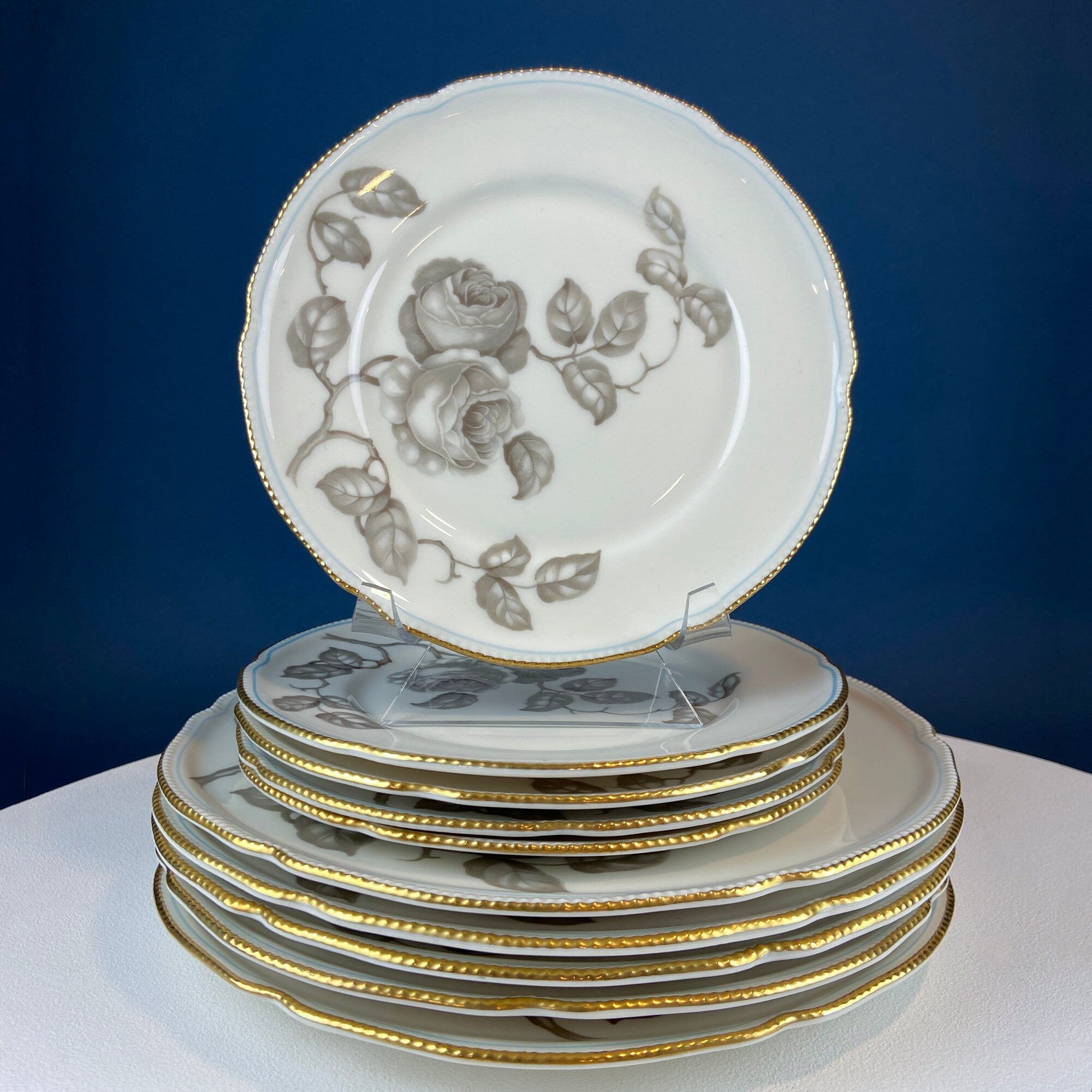 24 Piece Porcelain Dinner Set. Castleton Gloria. Beautiful Neutral Hand Painted Roses. 5 Dinner, Salad, Dessert Plates, Berry Bowls, 4 Cups.