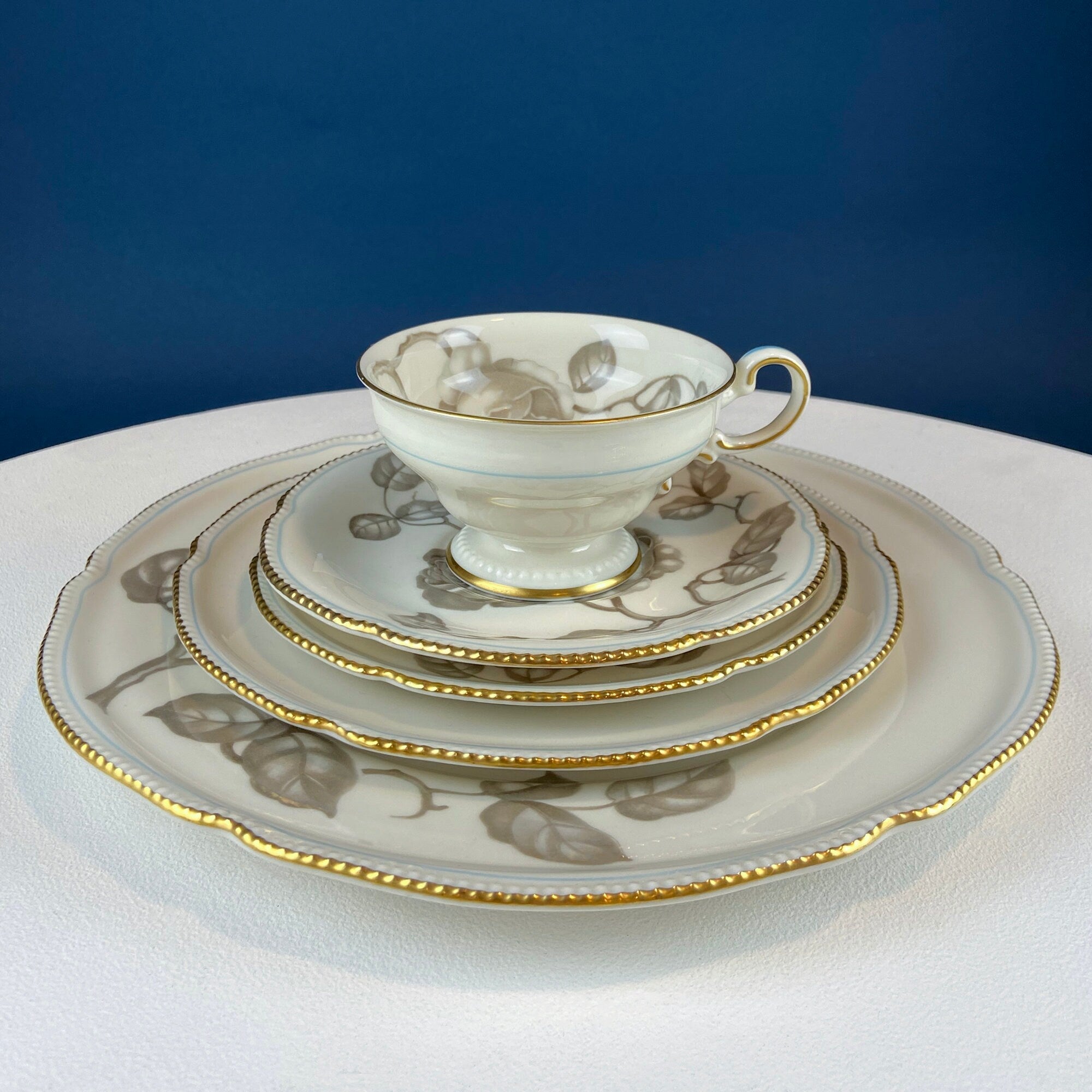 24 Piece Porcelain Dinner Set. Castleton Gloria. Beautiful Neutral Hand Painted Roses. 5 Dinner, Salad, Dessert Plates, Berry Bowls, 4 Cups.