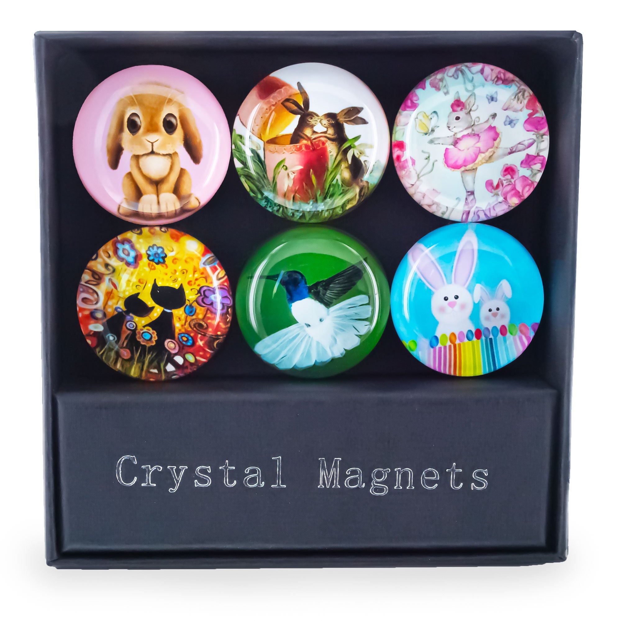Set of 6 Bunnies, Hummingbird, Cats Easter Theme Fridge Magnets