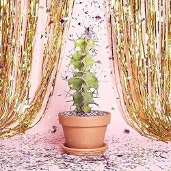 Tytroy Gold Shimmer Door Curtains Metallic Tinsel Fringe Photo Booth Backdrop 3'x8' (1 pc)