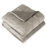 Bare Home Weighted Blanket Twin Or Full Size 10Lb (40' X 60') - Minky Fleece - (Taupe, 40'X60')