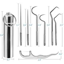 7Pcs 2 Set Portable Stainless Steel Toothpicks Pocket Set, Reusable Metal Toothpicks Cleaning Kit with Holder for Outdoor Picnic Camping Traveling