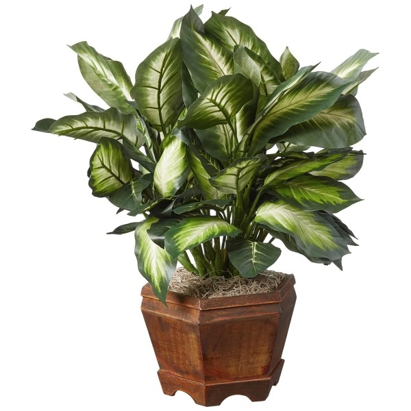 Nearly Natural Triple Golden Dieffenbachia With Wood Vase, Green, 20