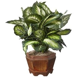 Nearly Natural Triple Golden Dieffenbachia With Wood Vase, Green, 20