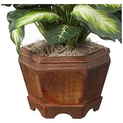 Nearly Natural Triple Golden Dieffenbachia With Wood Vase, Green, 20
