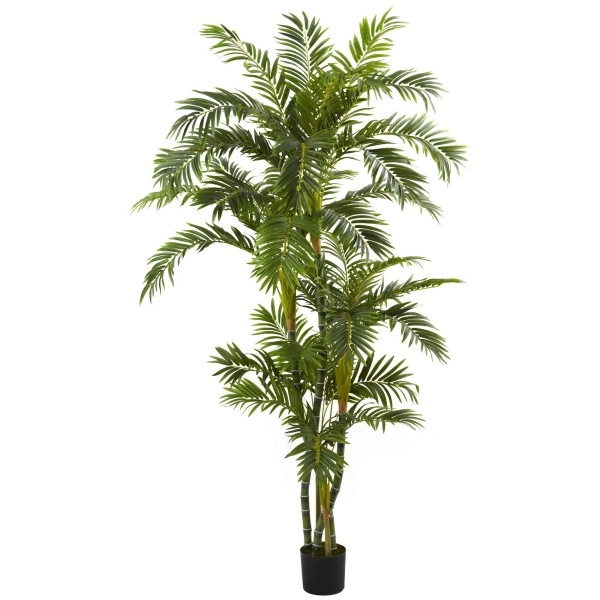 Nearly Natural 5348 Curvy Parlor Palm Silk Tree, 6-Feet, Green,80