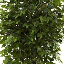 Nearly Natural 5402 6.5Ft. Deluxe Ficus Tree,Green,48X48X78