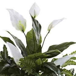 Nearly Natural 6783 Mixed Greens And Spathyfillum With Decorative Urn, Green/White 10.125