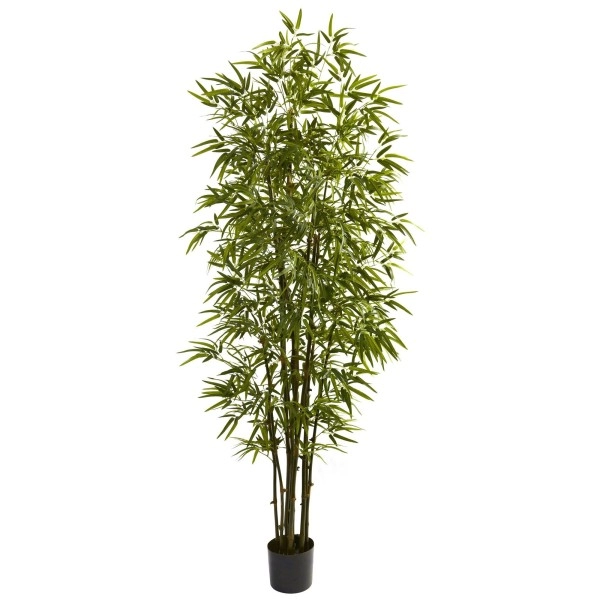 Nearly Natural 5421 Bamboo Tree, 7-Feet, Green,84 X 8 X 8