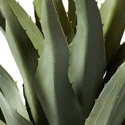 Nearly Natural 30In Agave Artificial Plant With Black Planter, Green