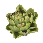 5 Artichoke (Set Of 6)