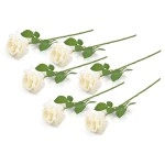 Dii 6 Piece Artifical Open Rose Silk Flowers For Bridal Bouquet, Home Decoration, Diy, Garden, Office Decor, Centerpiece Dacor - Cream