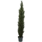 Nearly Natural 5429 7 Cedar Pine 3614 Tips In 1-Inch Pot, Mini Artificial Trees, Green