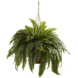 Nearly Natural 6788 Double Giant Boston Fern Hanging Basket,Green