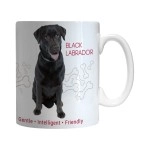 Boelter Brands Black Labrador Ceramic Mug 11-Ounce