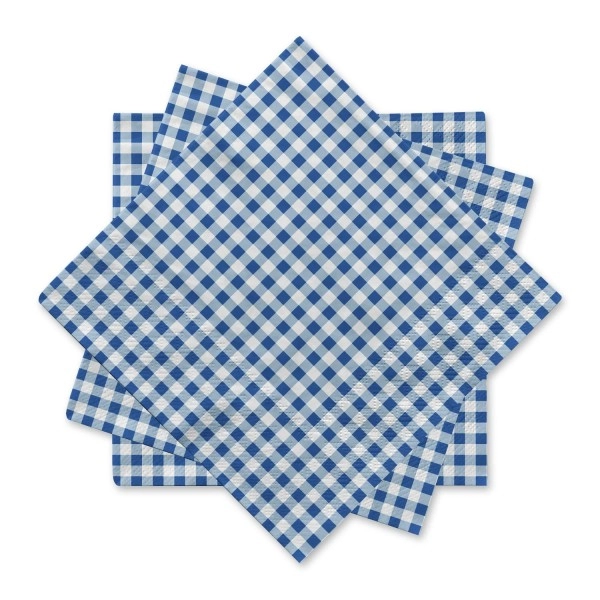 Gatherfun Disposable Paper Napkins Blue And White Gingham For Dinner Picnic And Parties (Pack Of 50)