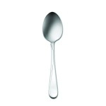 Oneida Flight Tablespoon/Serving Spoons (Set Of 12)